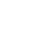 white-star-bug